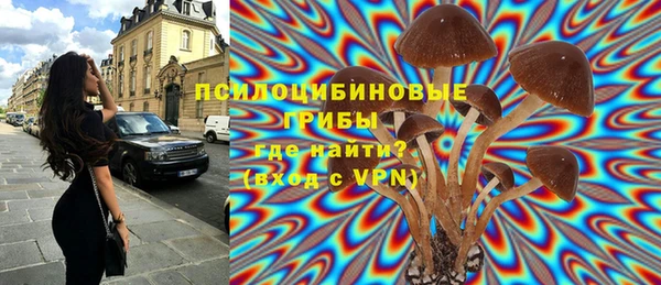 ПСИЛОЦИБИНОВЫЕ ГРИБЫ Новодвинск