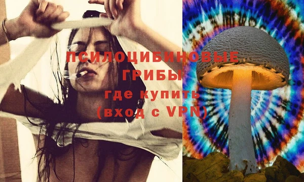 Альфа ПВП Новокубанск