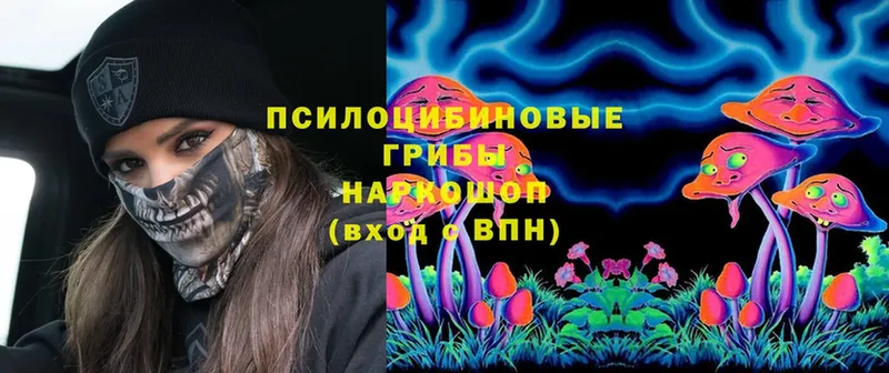 Галлюциногенные грибы Magic Shrooms  закладка  Инсар 