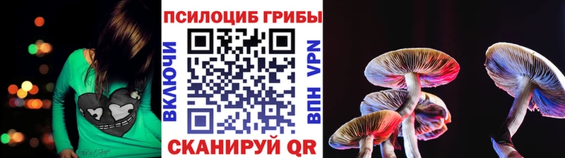 Галлюциногенные грибы Psilocybe  Инсар 